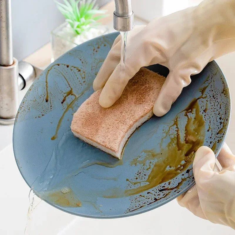 Biodegradable Compostable Cellulose and Coconut Dish Sponge