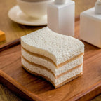 Biodegradable Compostable Cellulose and Coconut Dish Sponge
